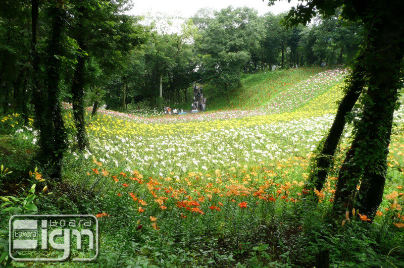 2011-06-22-tokorozawa-007