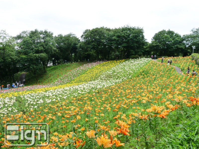 2011-06-22-tokorozawa-006