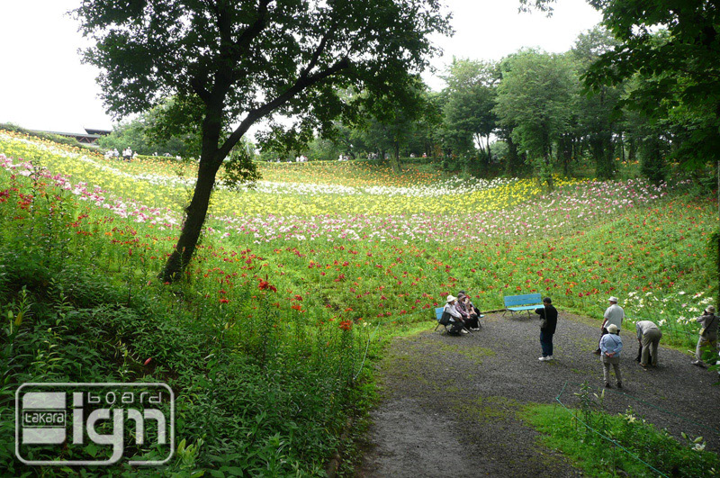 2011-06-22-tokorozawa-005