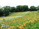 2011-06-22-tokorozawa-006