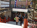 2012-02-03-ueno-010