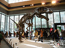 2012-03-28-marunouchi-003