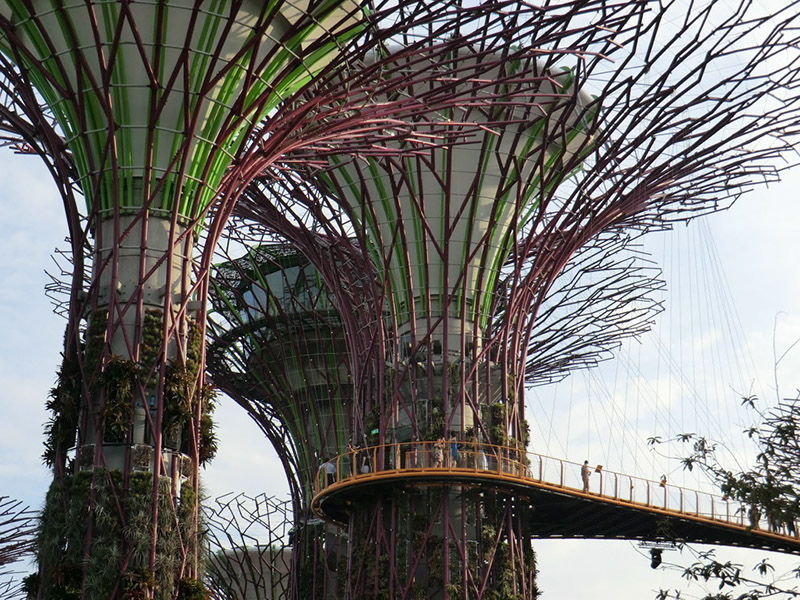 2012-07-30-singapore-013