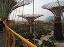 2012-07-30-singapore-010