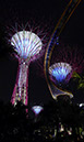 2012-08-06-singapore-004