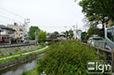 2012-08-09-kawagoe-008