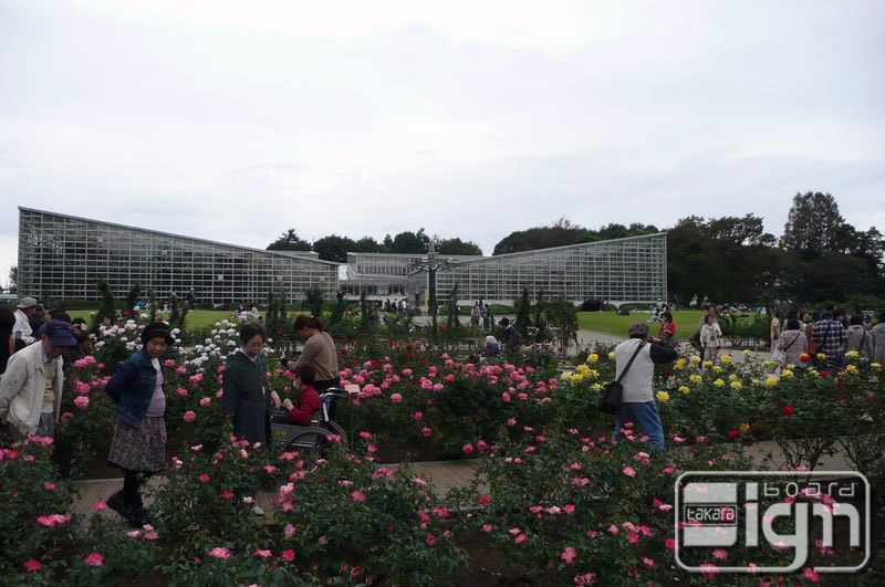 2012-10-17-jindaiji-008