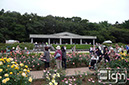 2012-10-17-jindaiji-005