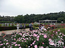 2012-10-17-jindaiji-006