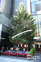 2012-11-22-ginza-001