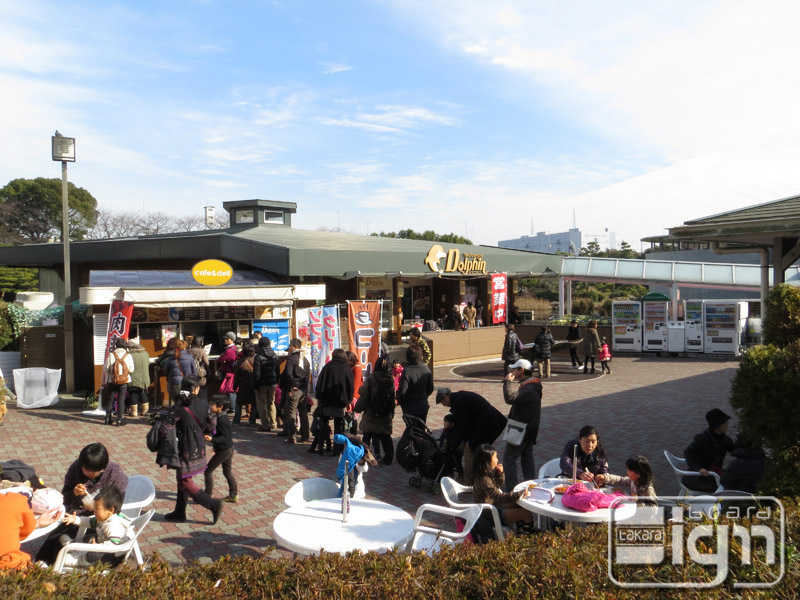 2013-01-16-katsushima-009