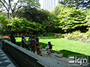 2013-04-16-shiba-koen-010